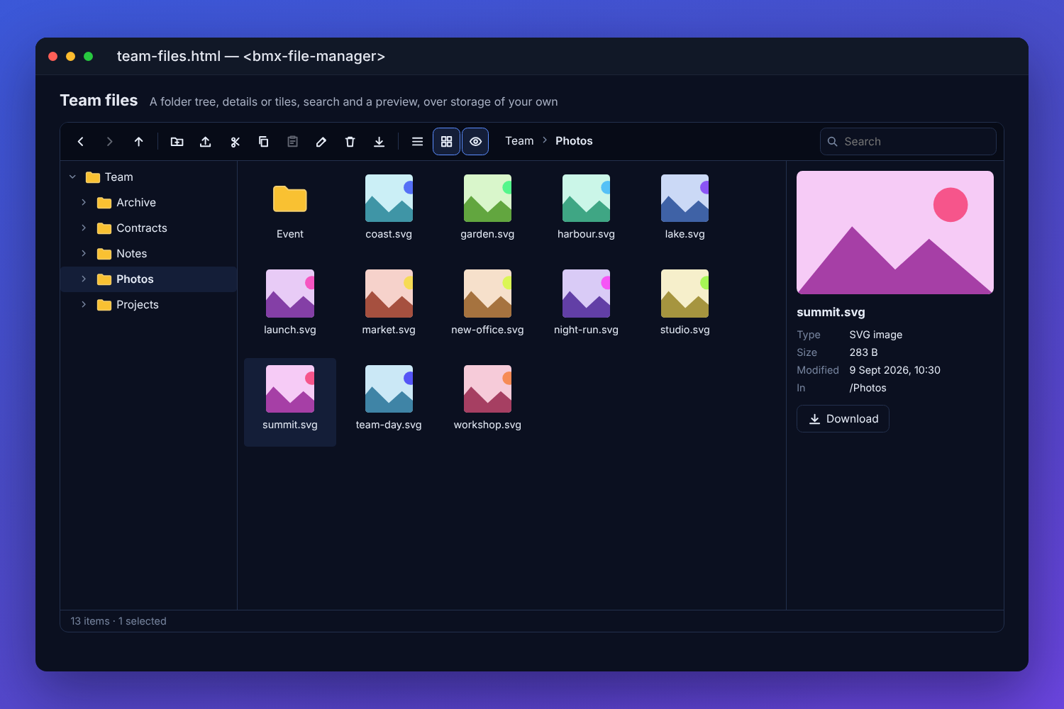 The BMX file manager showing a folder of photos as tiles: a folder tree on the left, a toolbar for new folder, upload, cut, copy, paste, rename, delete and download, a path, search, and one picture selected and previewed on the right with its type, size, date and a download button