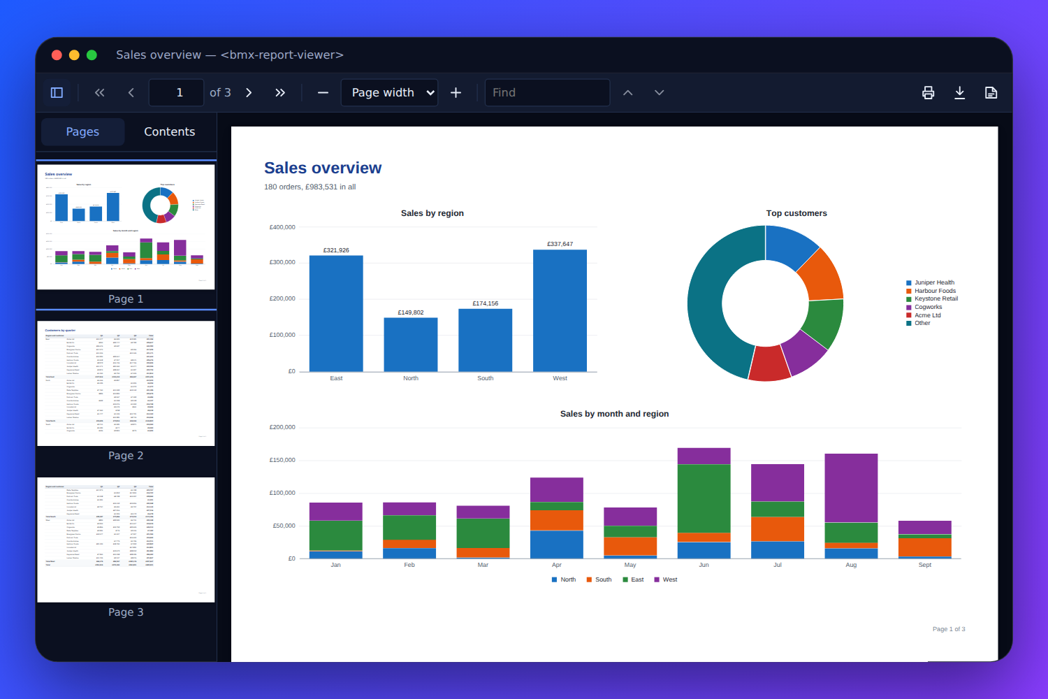 The BMX report viewer showing a sales overview report: a column chart of sales by region, a doughnut of top customers and a stacked chart by month, with page thumbnails beside it