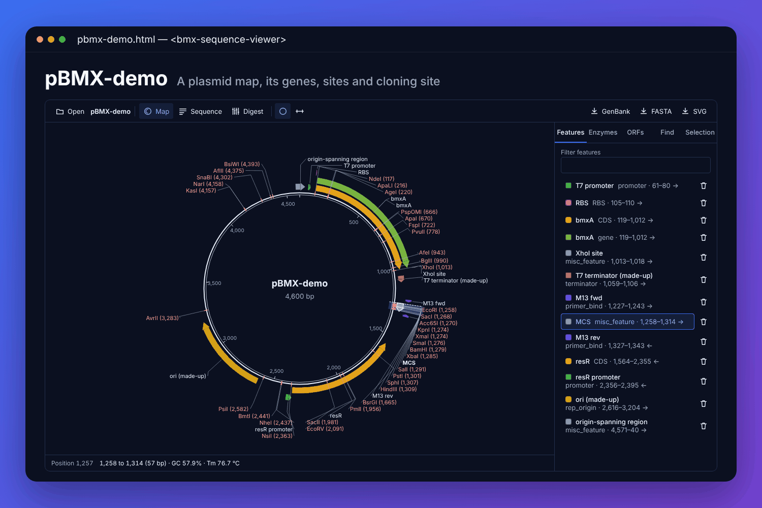 The BMX sequence viewer with a made-up plasmid: the circular map with genes, promoters and the origin as coloured arrows, restriction enzymes named round the ring, the multiple cloning site chosen, and the feature list beside it